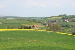 DSC04274