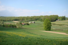DSC04277