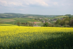 DSC04283