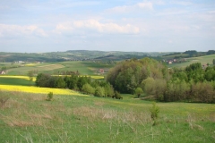 DSC04289