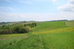 DSC04290