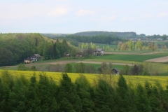 DSC04297