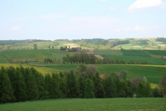 DSC04298