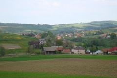DSC04303
