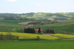 DSC04305