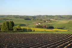 DSC04328