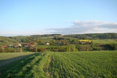 DSC04329