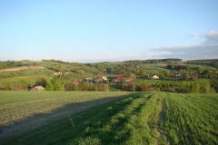 DSC04331