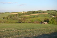 DSC04333