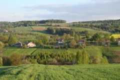 DSC04335