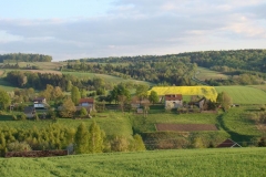 DSC04336