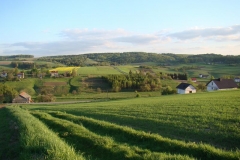 DSC04338