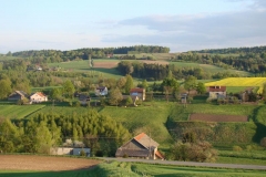 DSC04341
