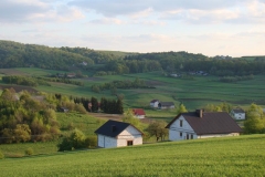 DSC04342