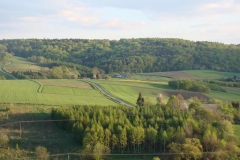 DSC04343