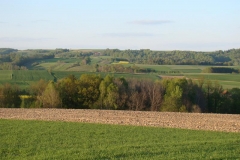 DSC04350
