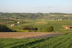 DSC04351