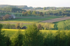 DSC04354