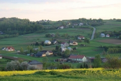 DSC04363
