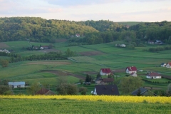 DSC04364