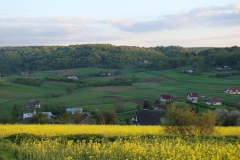 DSC04365