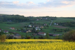 DSC04366