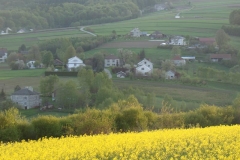 DSC04371