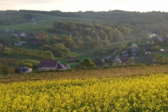 DSC04373