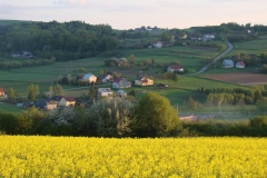 DSC04375