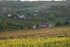 DSC04377