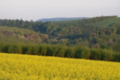 DSC04380