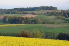 DSC04381
