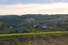 DSC04387