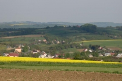 DSC04394