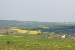 DSC04396