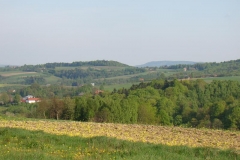 DSC04397