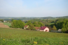 DSC04399