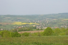 DSC04404