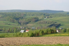 DSC04417