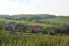 DSC04428