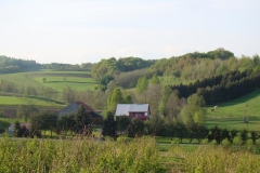 DSC04429
