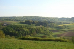 DSC04432