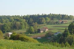 DSC04435