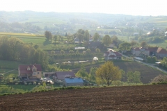 DSC04437