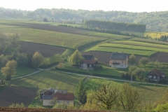 DSC04441
