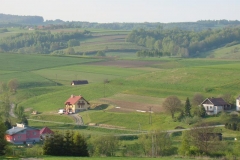 DSC04443