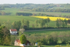 DSC04444