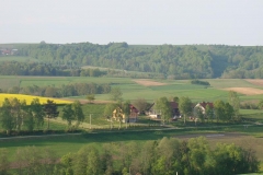 DSC04445