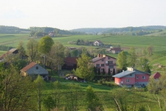 DSC04446