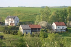 DSC04447